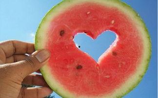 漳州吃瓜群名搞笑,欢乐瓜田，笑料连连