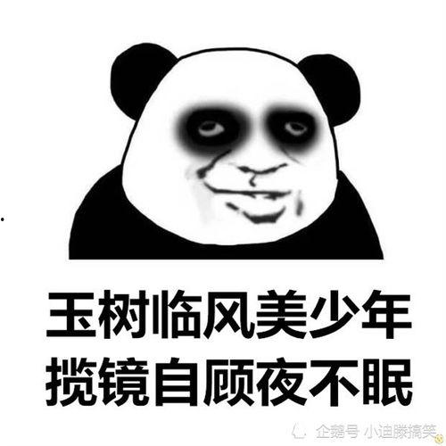 吃瓜路过的图片,吃瓜路人视角下的趣味瞬间