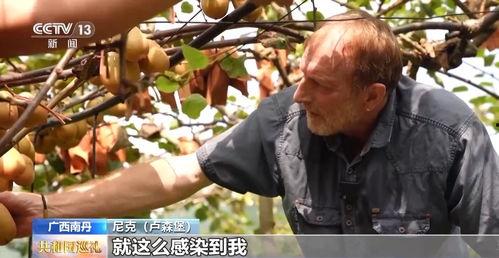 广西老表吃瓜,一场别开生面的夏日盛宴