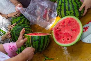 人家吃瓜视频,娱乐圈幕后故事大曝光