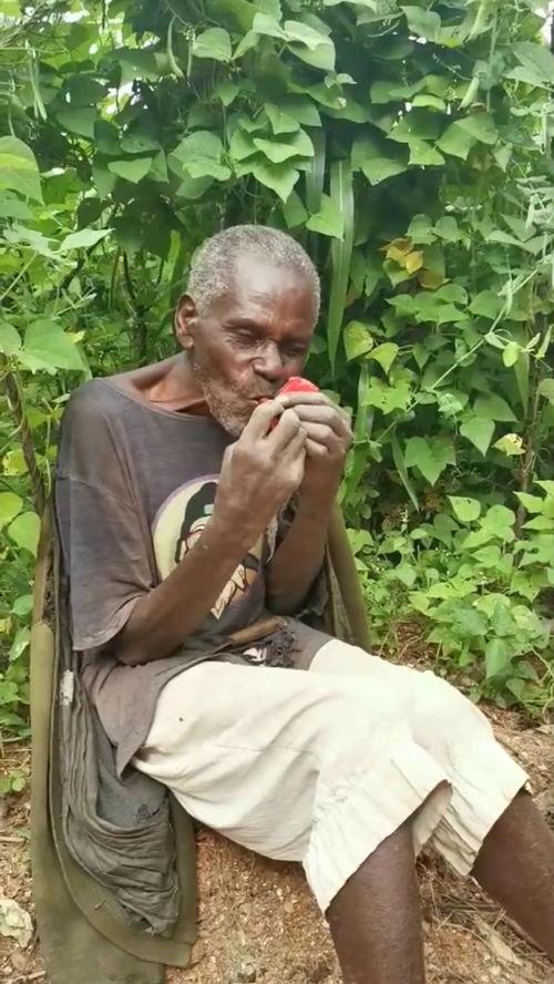 梦见养父吃瓜,养父吃瓜背后的寓意解析