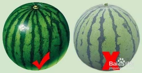 赤瓜不熟可以吃吗,美味仍可尝——探索未熟赤瓜的食用奥秘