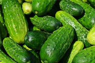 梦见吃瓜都坏了,吃瓜为何都变坏？揭秘梦境中的瓜果寓意