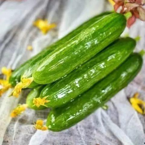 为什么季节吃瓜,顺应时节的甜蜜滋味