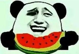 网友吃瓜小时,揭秘娱乐圈幕后故事