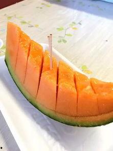 泰国吃的瓜都有哪些,探寻热带风情的甜蜜诱惑