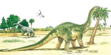 带你吃瓜恐龙枕头,带你吃瓜体验趣味恐龙枕头之旅