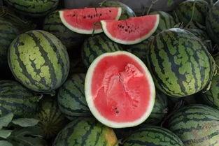 铜鼓吃瓜,探寻吃瓜文化的独特魅力