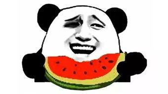 吃瓜群众小姐姐,揭秘娱乐圈幕后故事