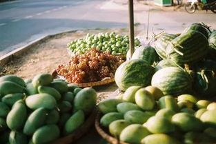 吃瓜群众西瓜箱子,夏日消暑神器大揭秘