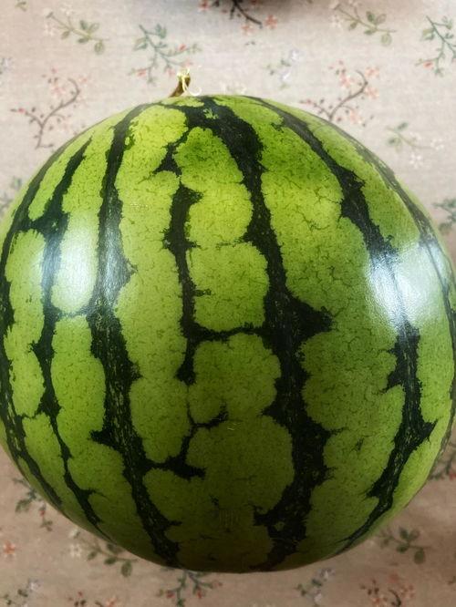 学校表演吃瓜,一场别开生面的“吃瓜”表演盛宴