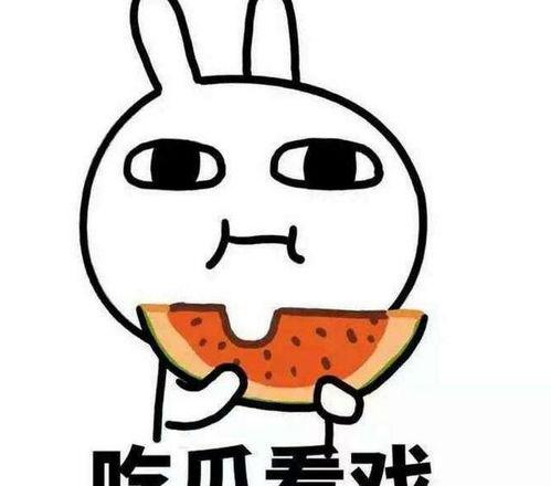 以后理性吃瓜,揭秘网络舆论背后的真相