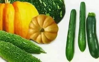 曹营吃瓜,揭秘三国时期的一场“吃瓜”大戏