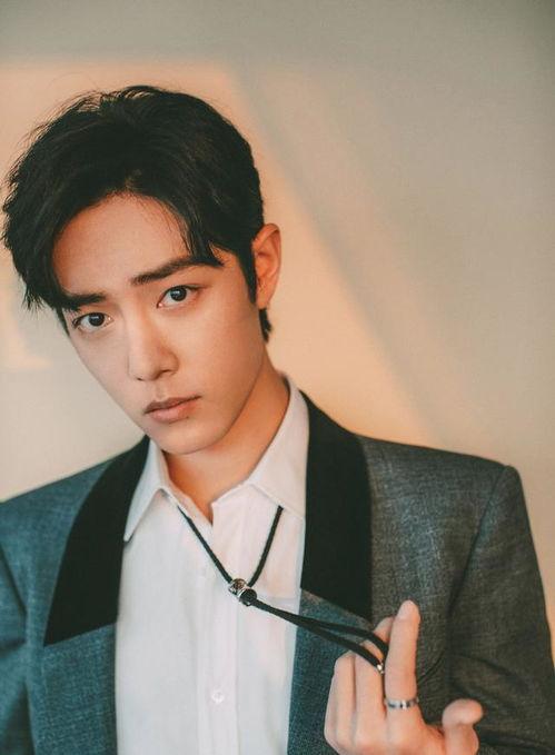 阿基米德吃瓜肖战,揭秘肖战背后的故事