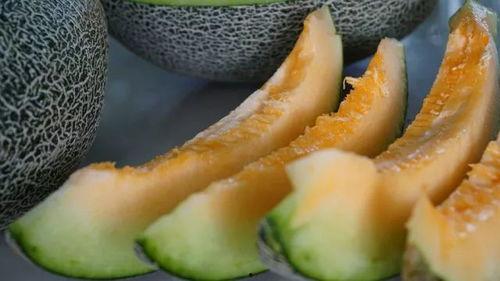 夏日带你吃瓜,跟着我一起畅游瓜果世界