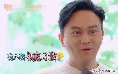 综艺吃瓜的男明星,揭秘男明星背后的故事